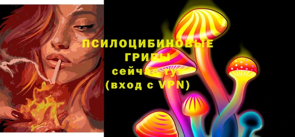 apvp Армянск