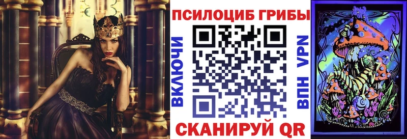 Псилоцибиновые грибы Psilocybine cubensis  Суворов 